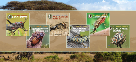 SLJ Review | Insects Around the World: Africa (Set 1)