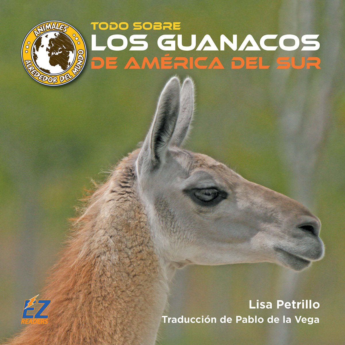 Los guanacos son animales salvajes que viven libres en montañas