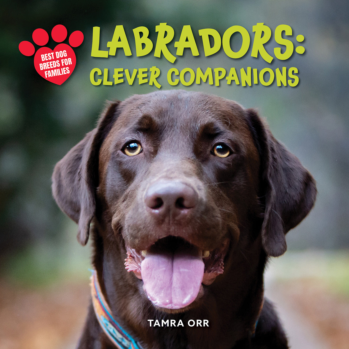 Labrador Retrievers: Clever Companions
