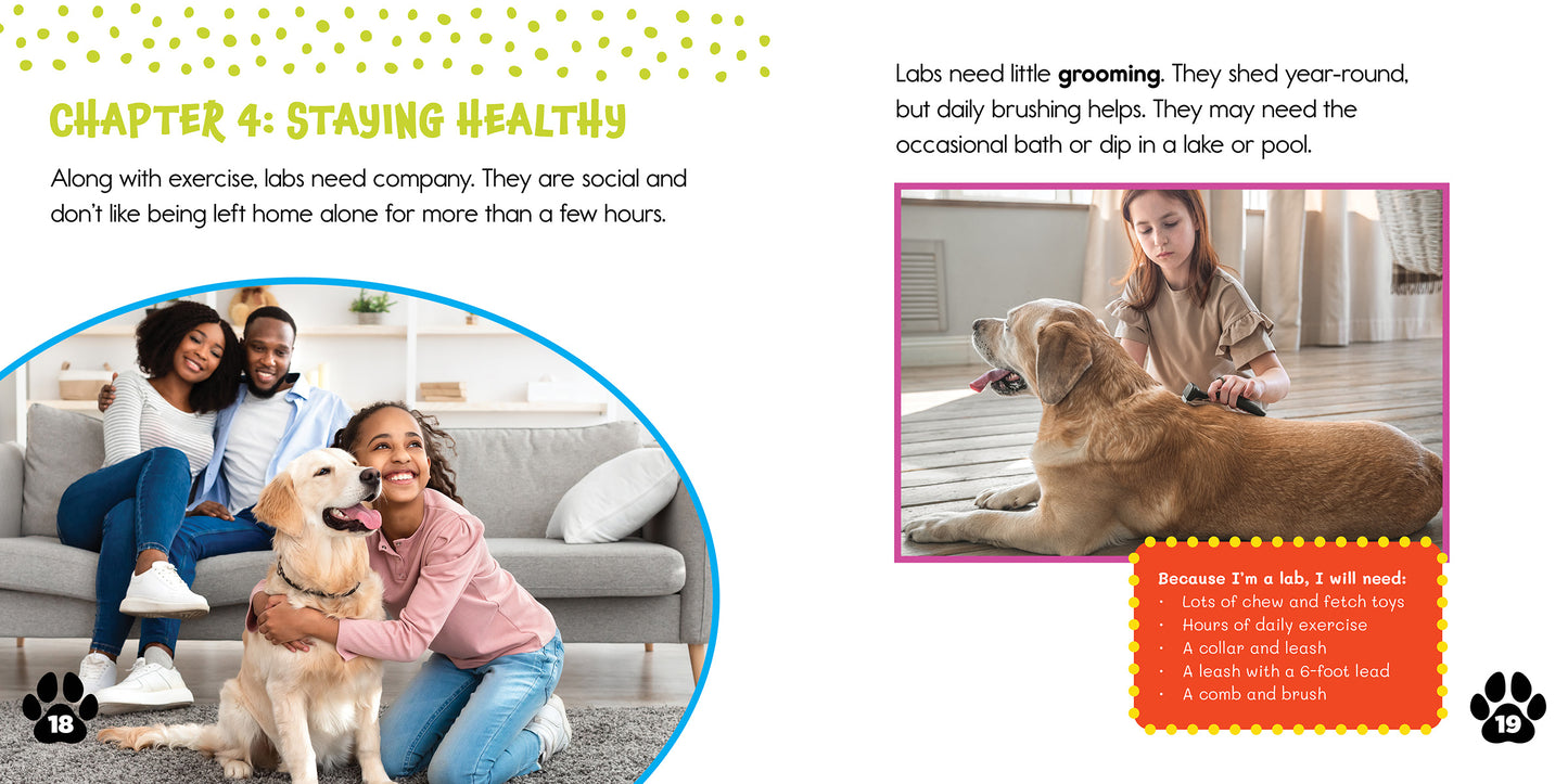Labrador Retrievers: Clever Companions