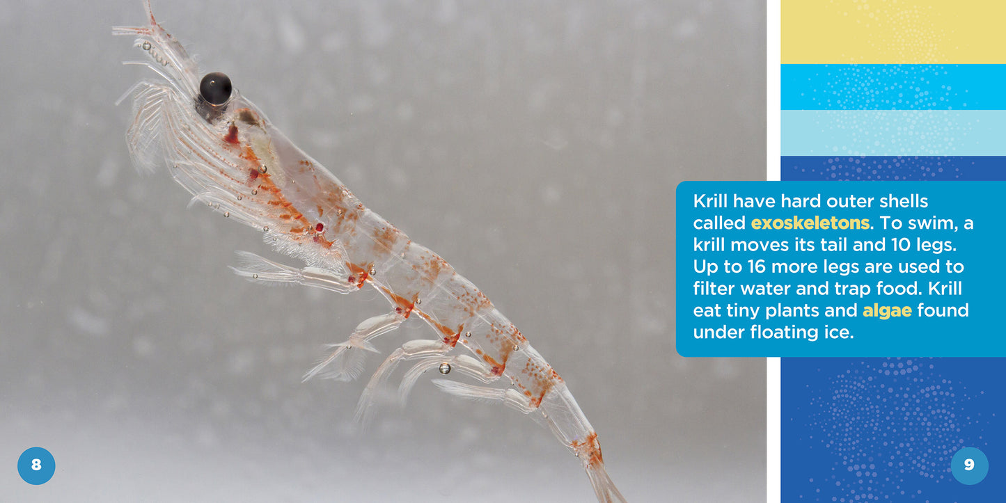 All About Antarctic Krill