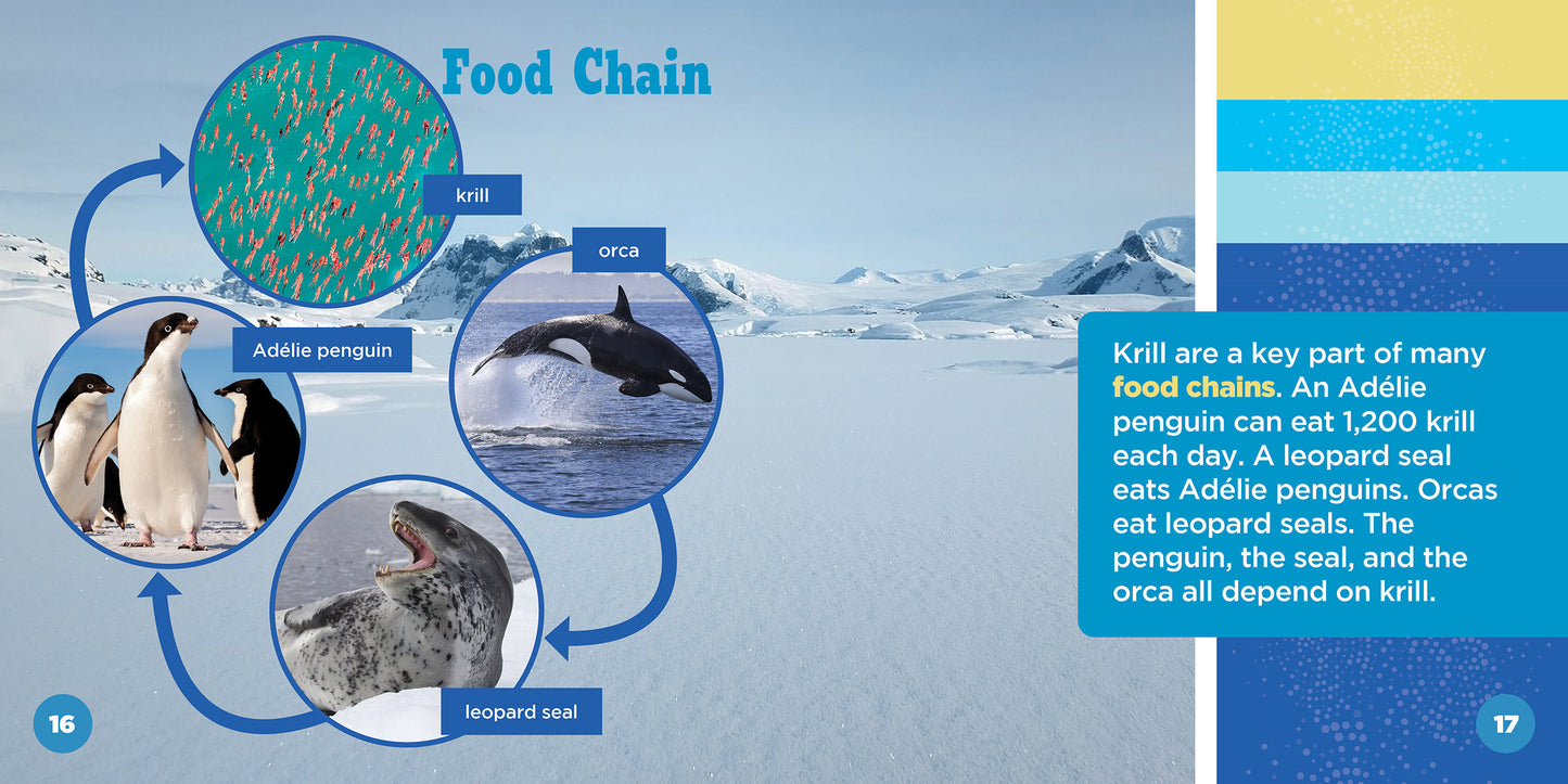 All About Antarctic Krill