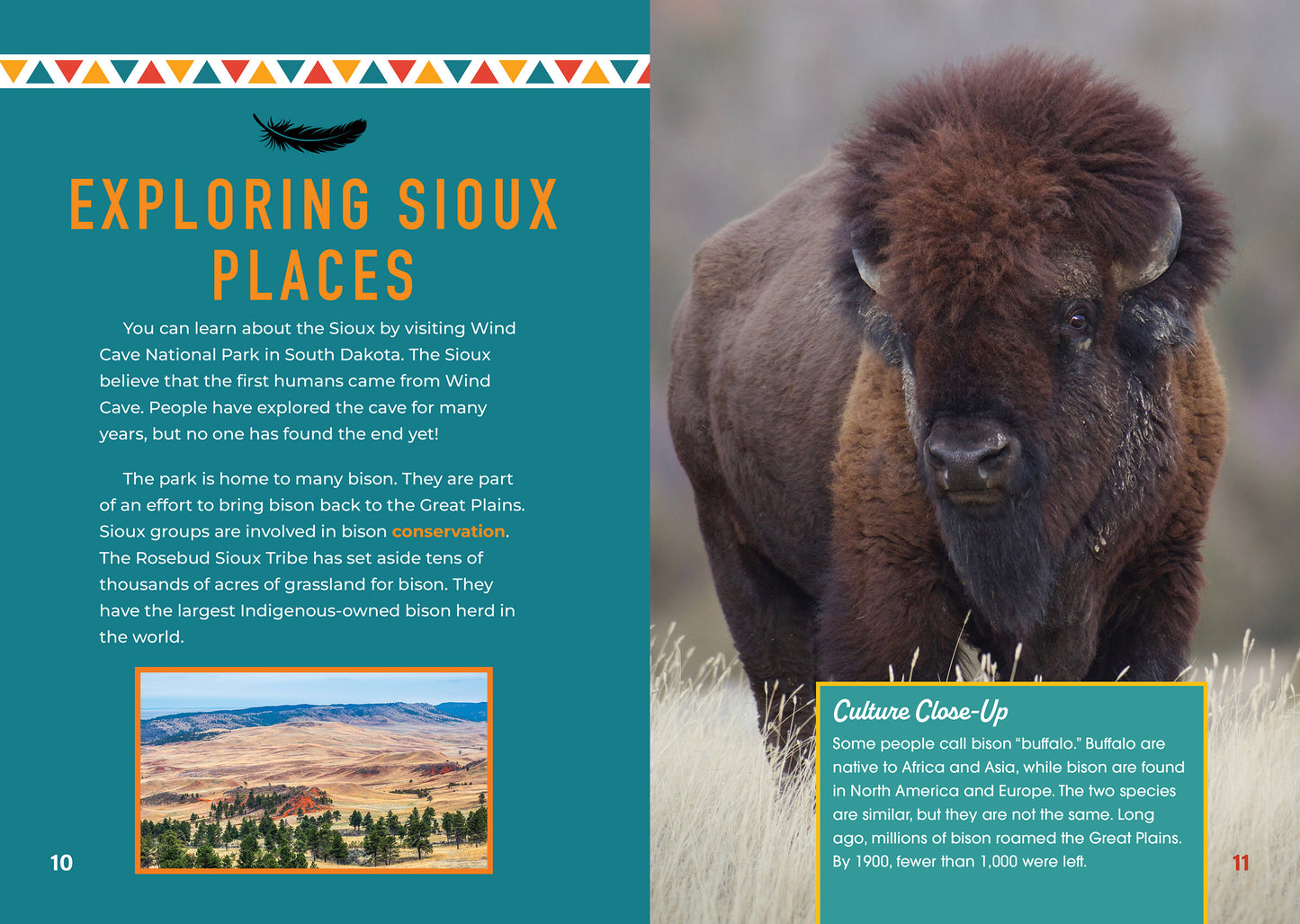 Celebrating the Sioux