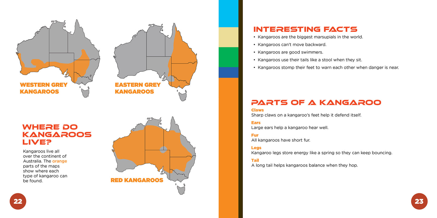All About Australian Kangaroos