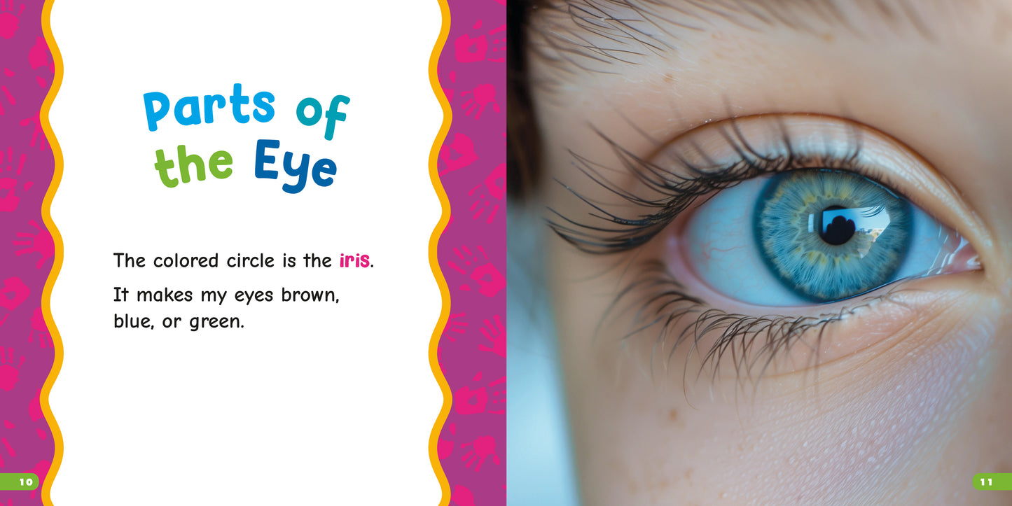 My Bright Eyes