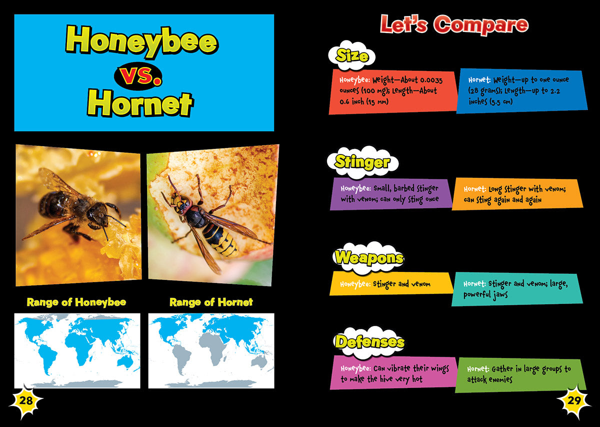 Honeybee vs. Hornet