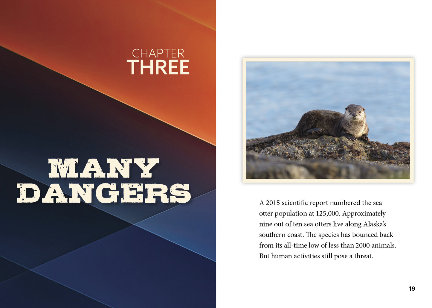Sea Otters