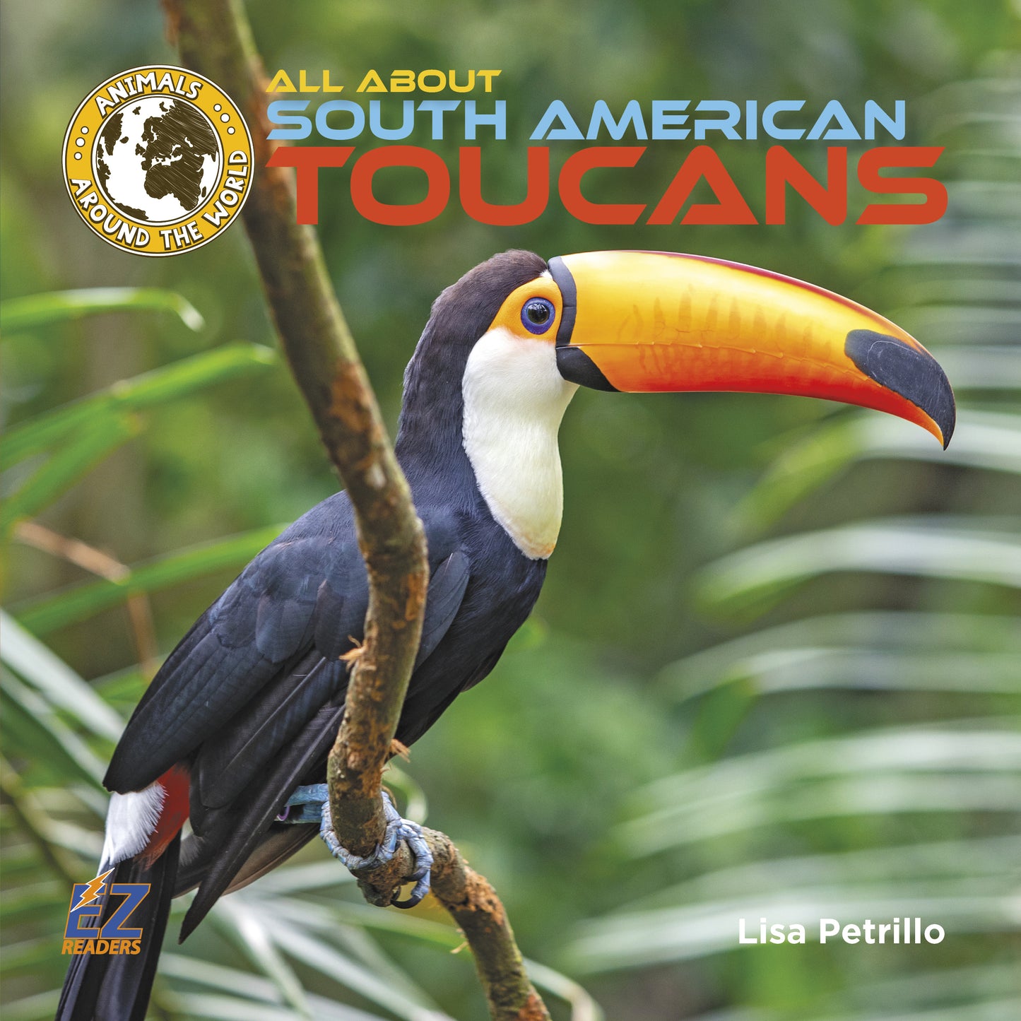 All About South American Toucans