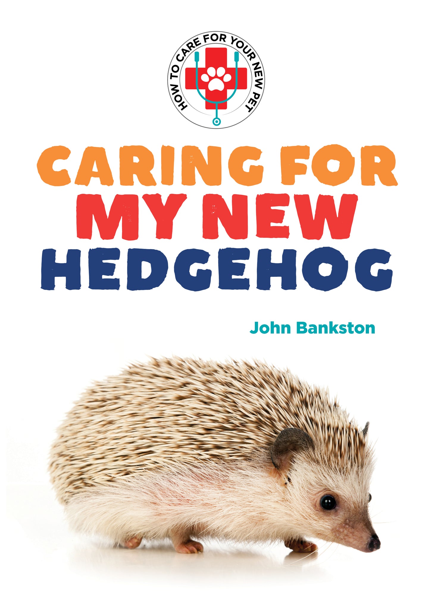 Caring for My New Hedgehog