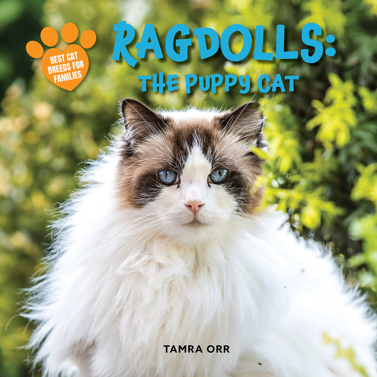 @MaryLanniReads | Ragdolls: The Puppy Cat