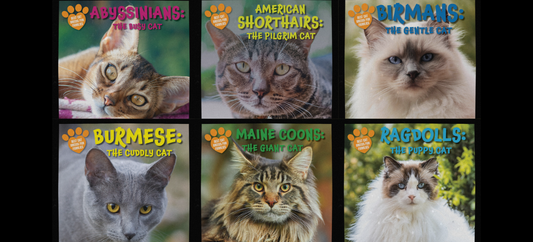 SLJ | Best Cat Breeds for Families