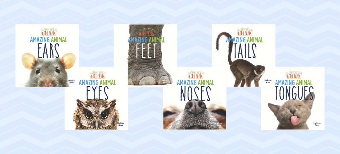 SLJ Review | How Animals Use Their Body Parts