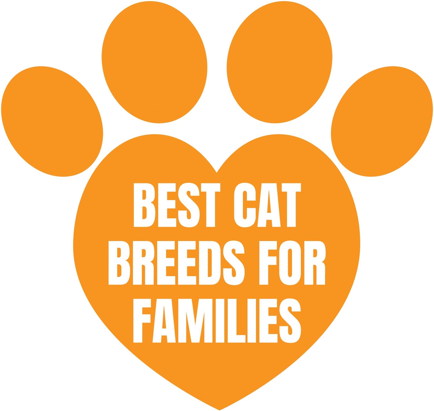 Best Cat Breeds for Families