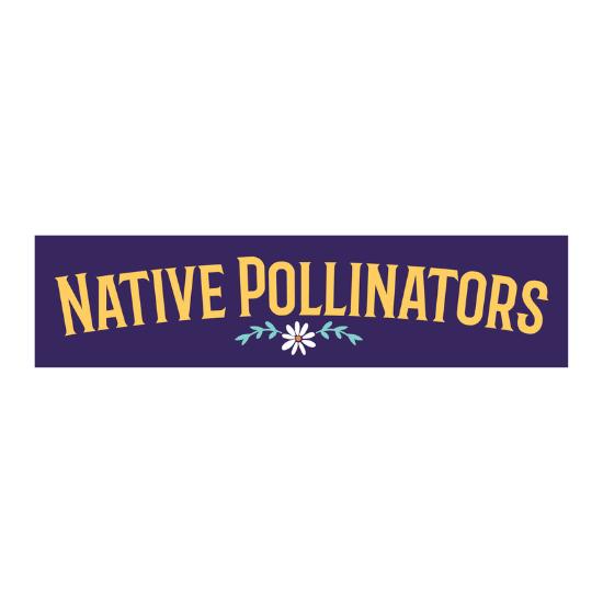 Native Pollinators – Mitchell Lane
