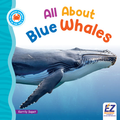 All About Blue Whales