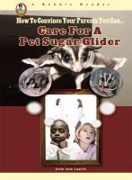 Care for a Pet Sugar Glider