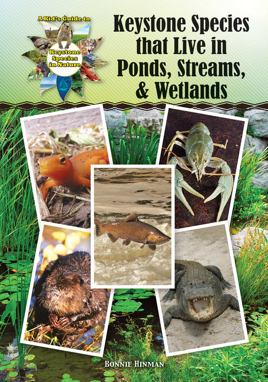 Keystone Species that Live in Ponds, Streams, & Wetlands