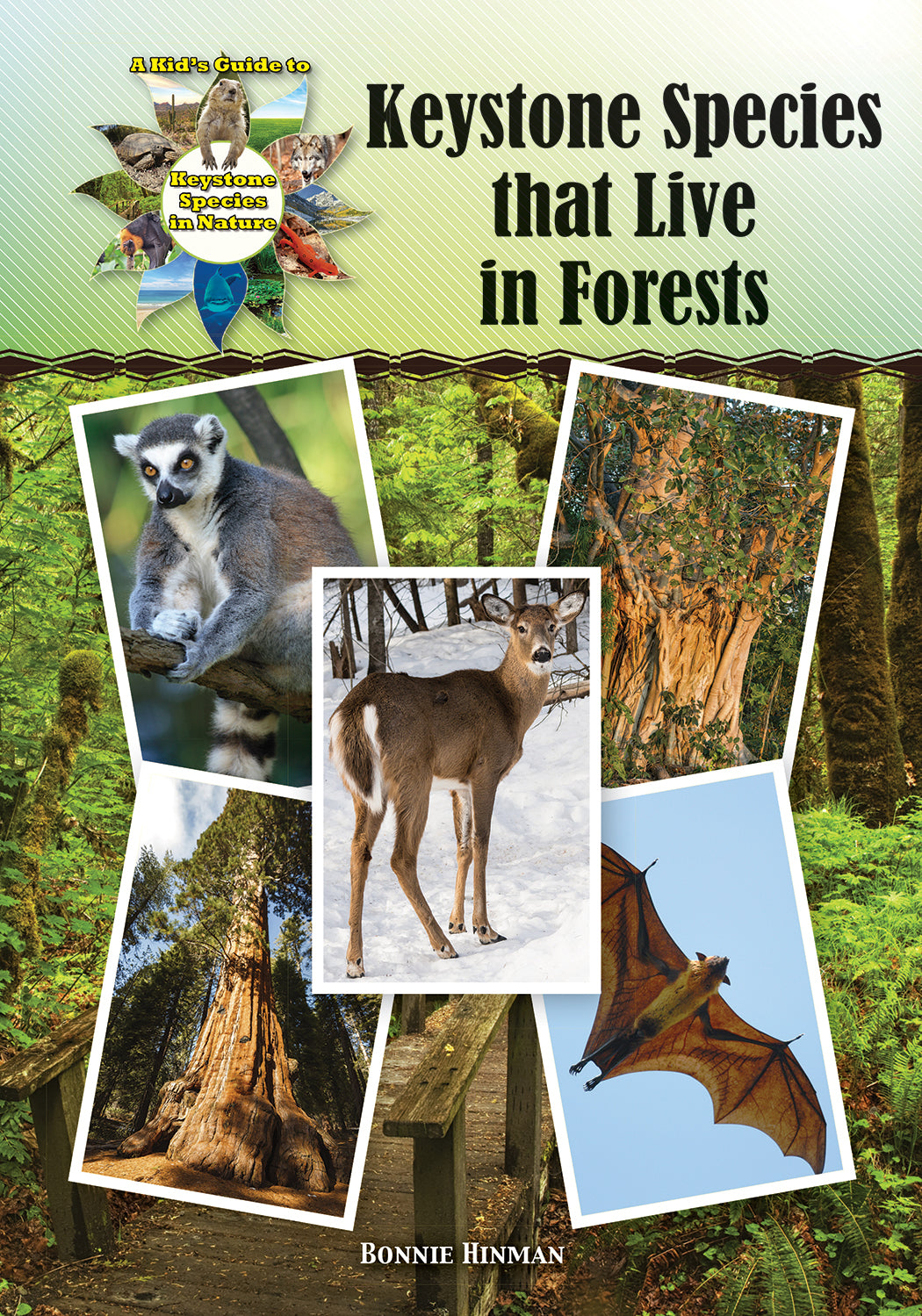 Keystone Species that Live in Forests