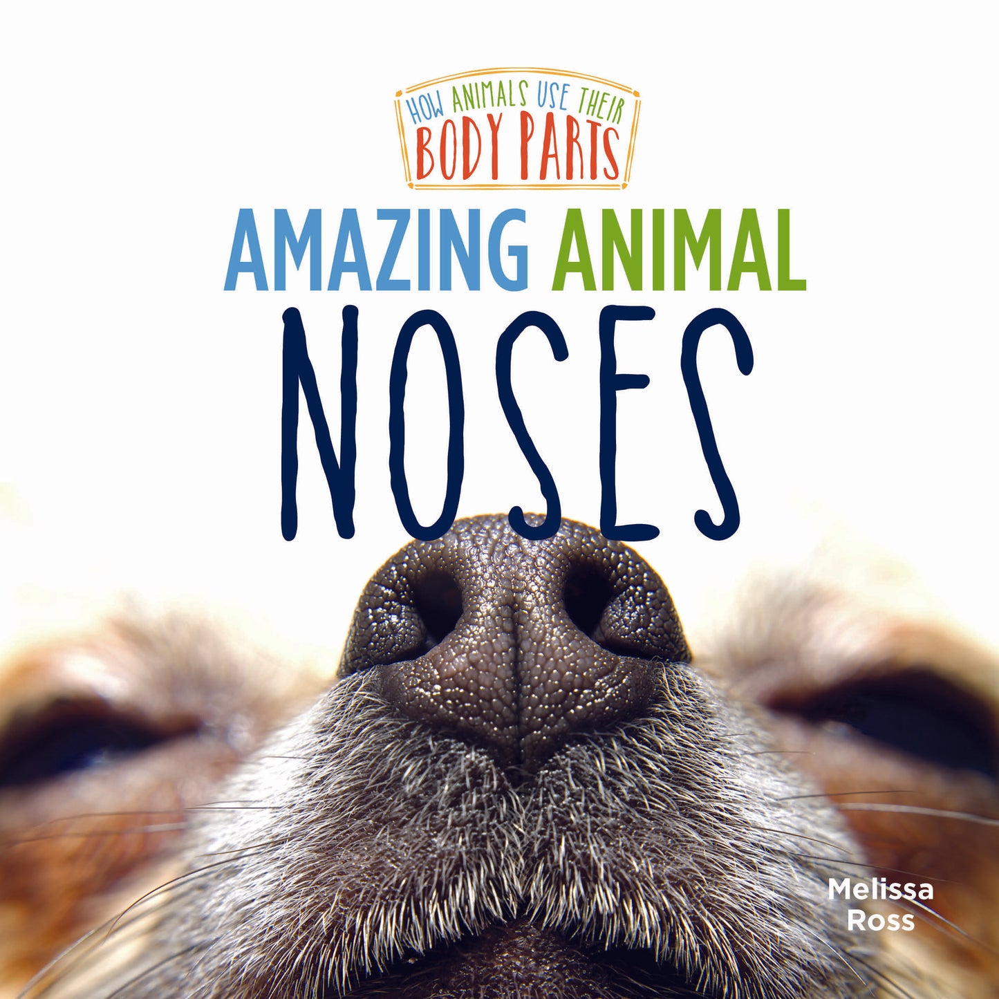 Amazing Animal Noses