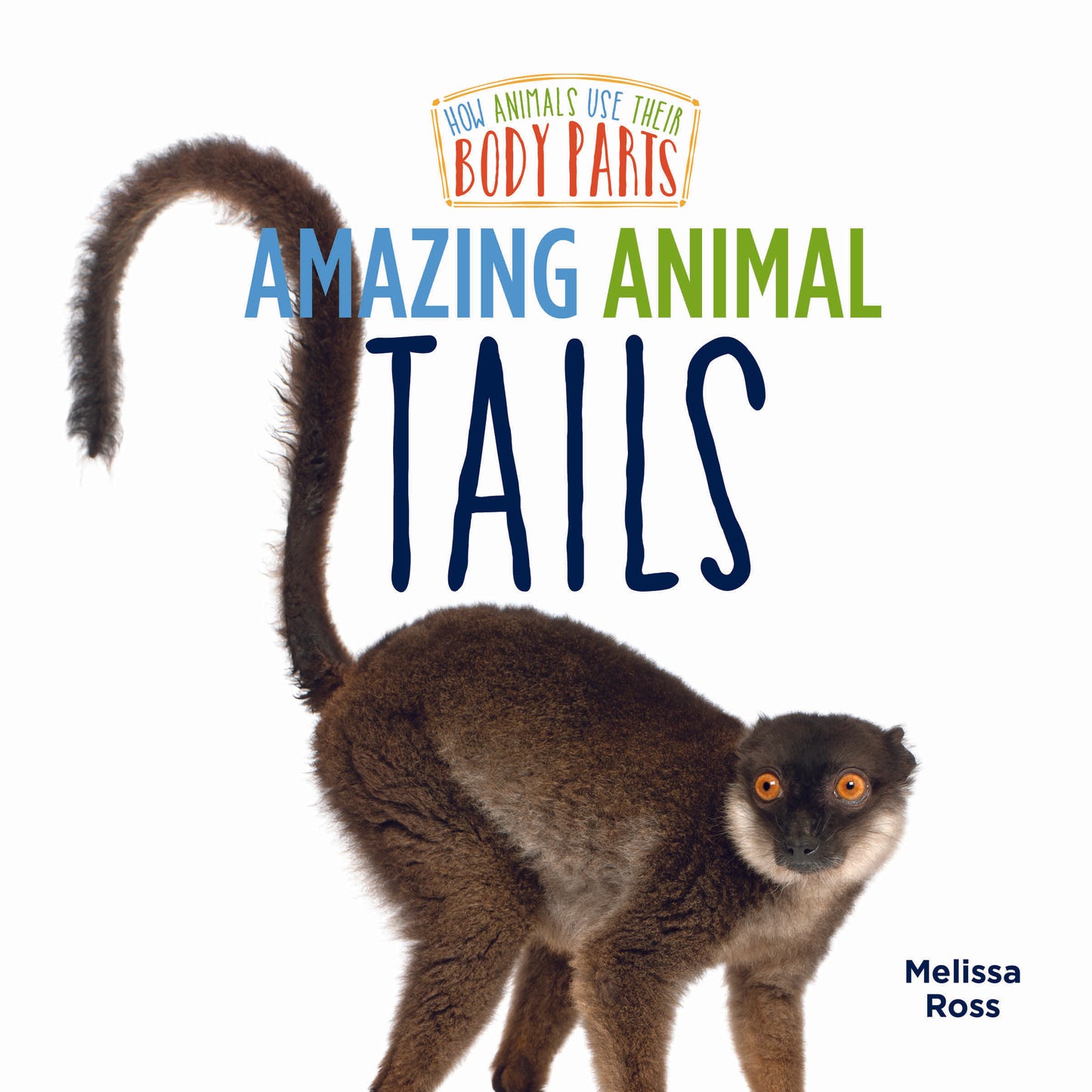 Amazing Animal Tails