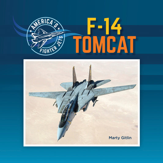 F-14 Tomcat