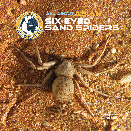 All About Asian Six-Eyed Sand Spiders