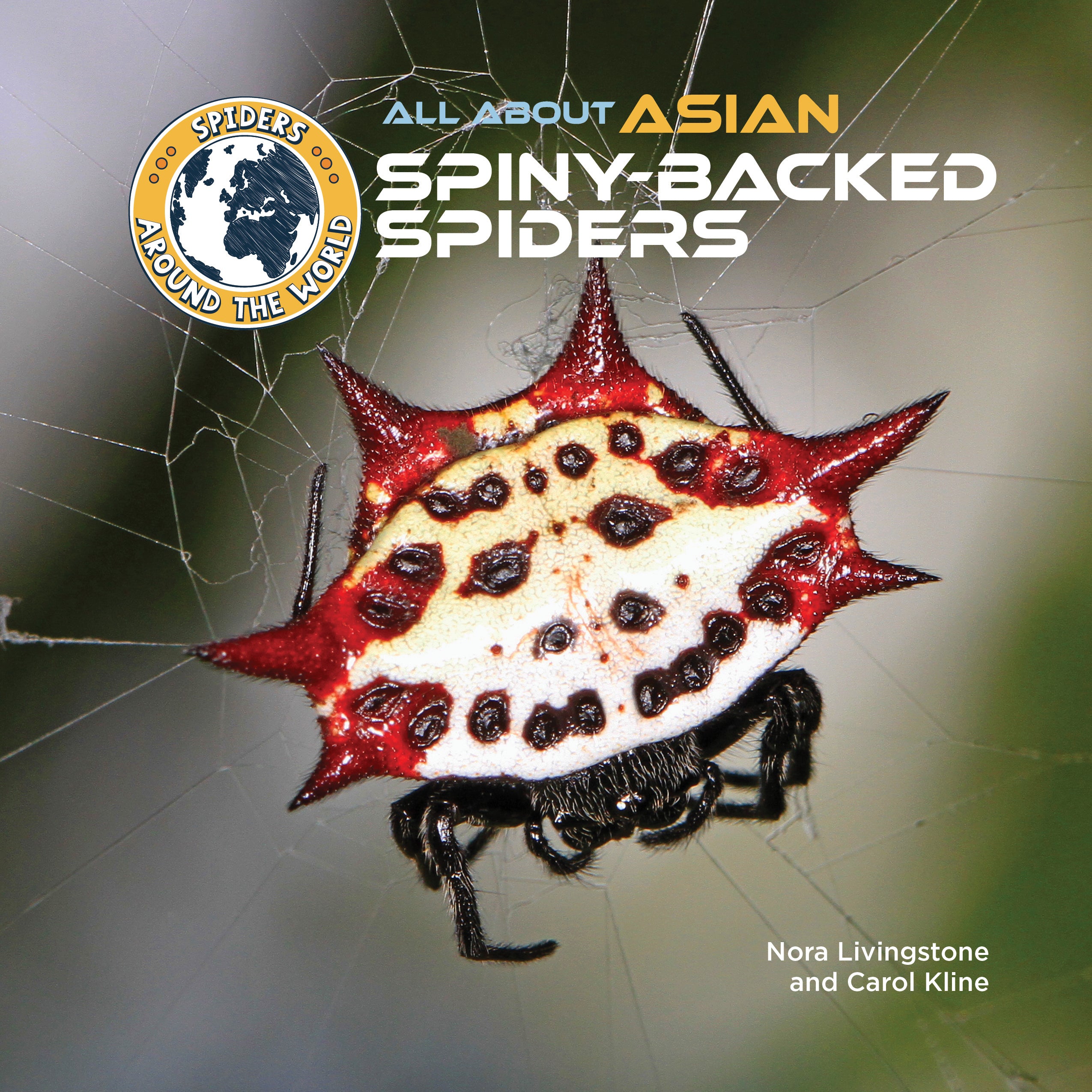 All About Asian Spiny-backed Spiders is part of the Spiders Around the ...