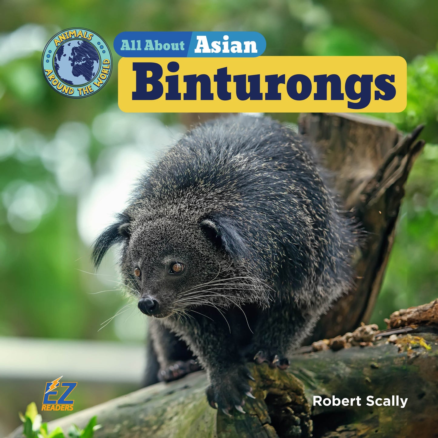 All About Asian Binturongs