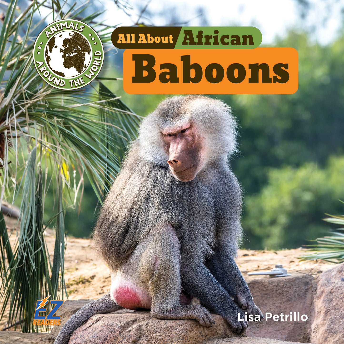 All About African Baboons