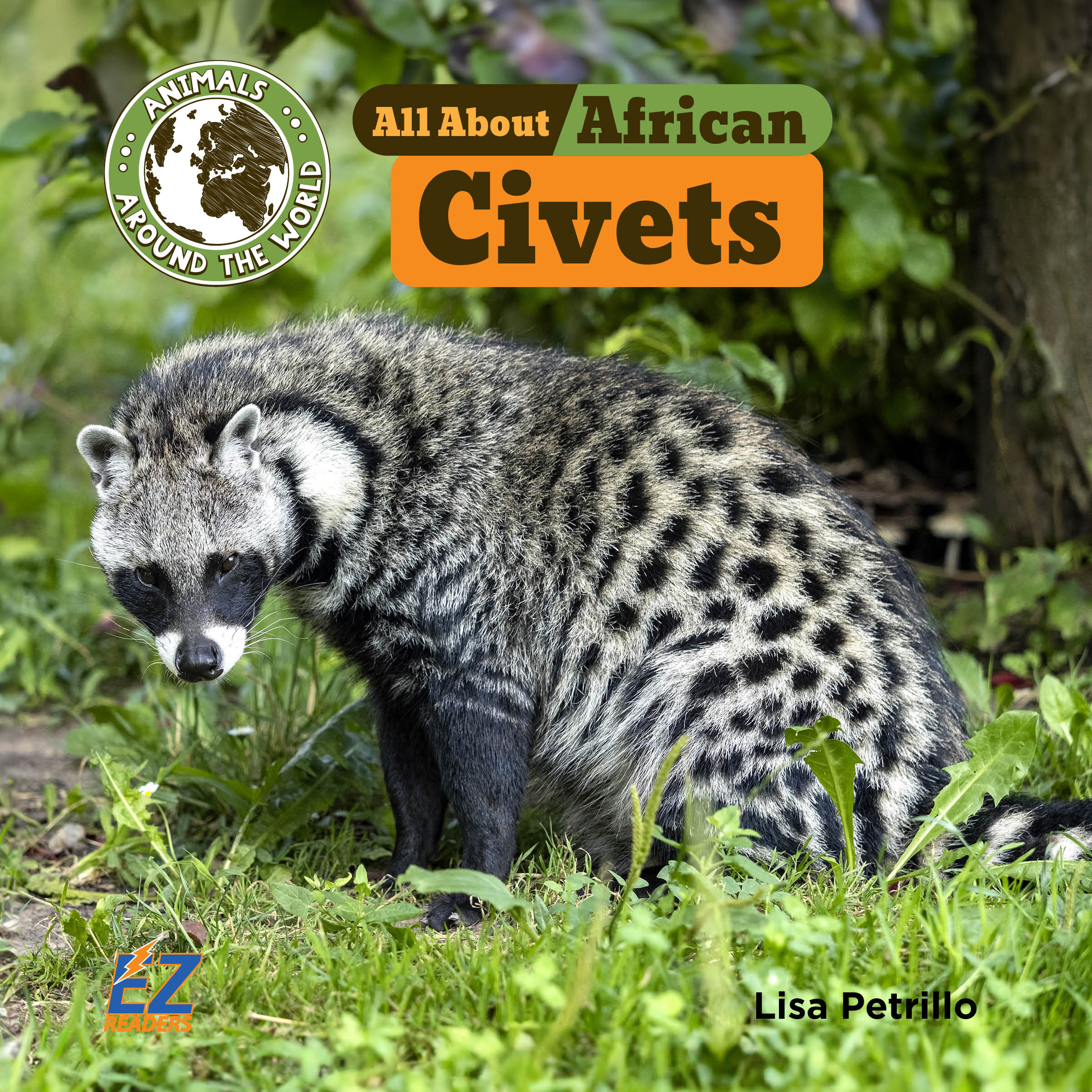 The civet is the opposite of a skunk. It’s famous for its smell ...