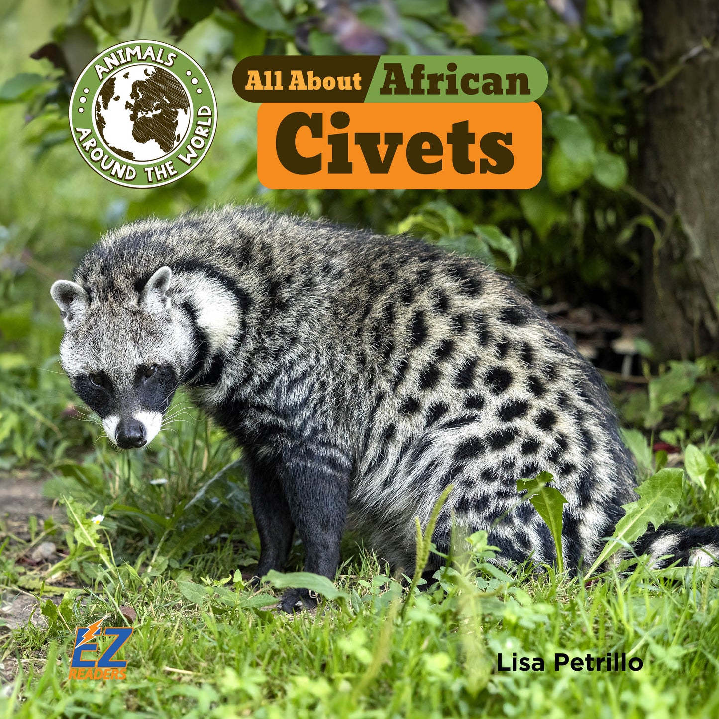 All About African Civets