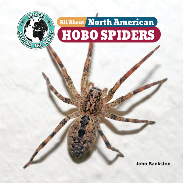 Not every spider attacks. Hobo spiders let their food come to them ...