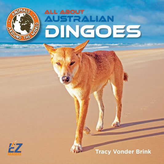 All About Australian Dingoes