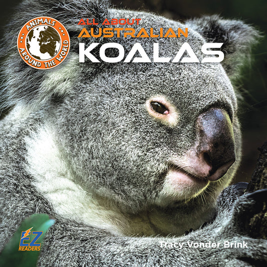 All About Australian Koalas