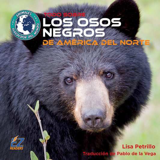 Todo sobre los osos negros de América del Norte