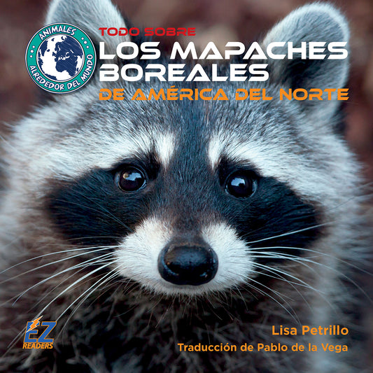 Todo sobre los mapaches boreales de América del Norte