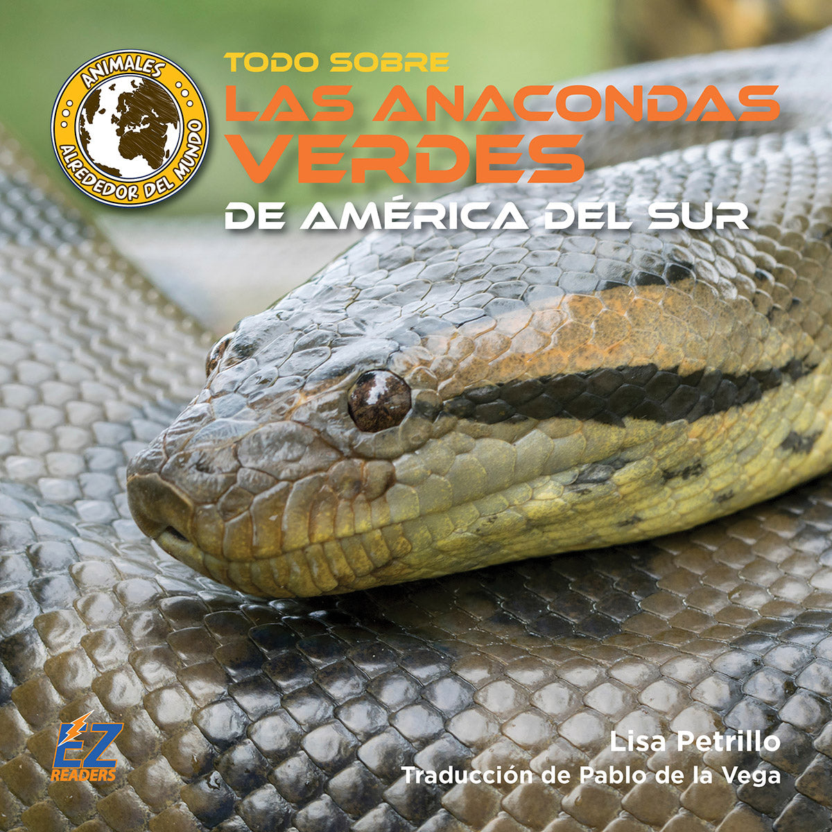 Todo sobre las anacondas verdes de América del Sur