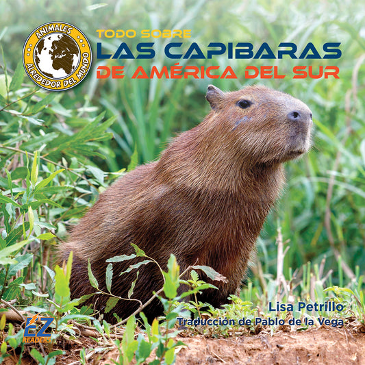 Todo sobre las capibaras de América del Sur