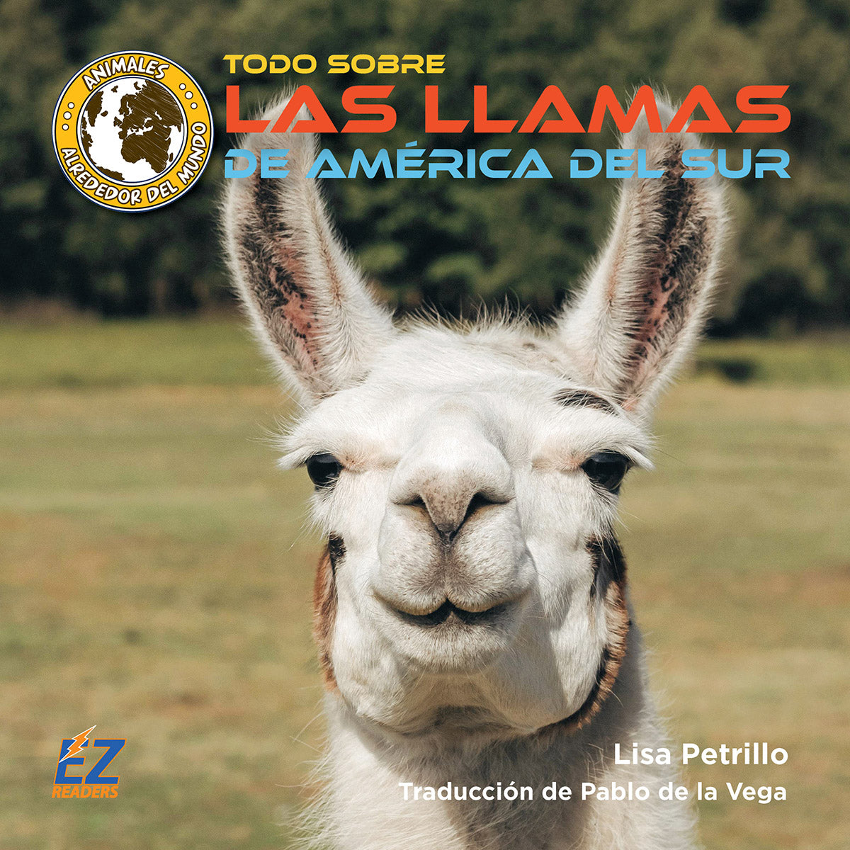 Todo sobre las llamas de América del Sur