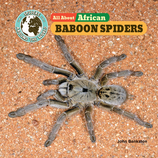 All About African Baboon Spiders