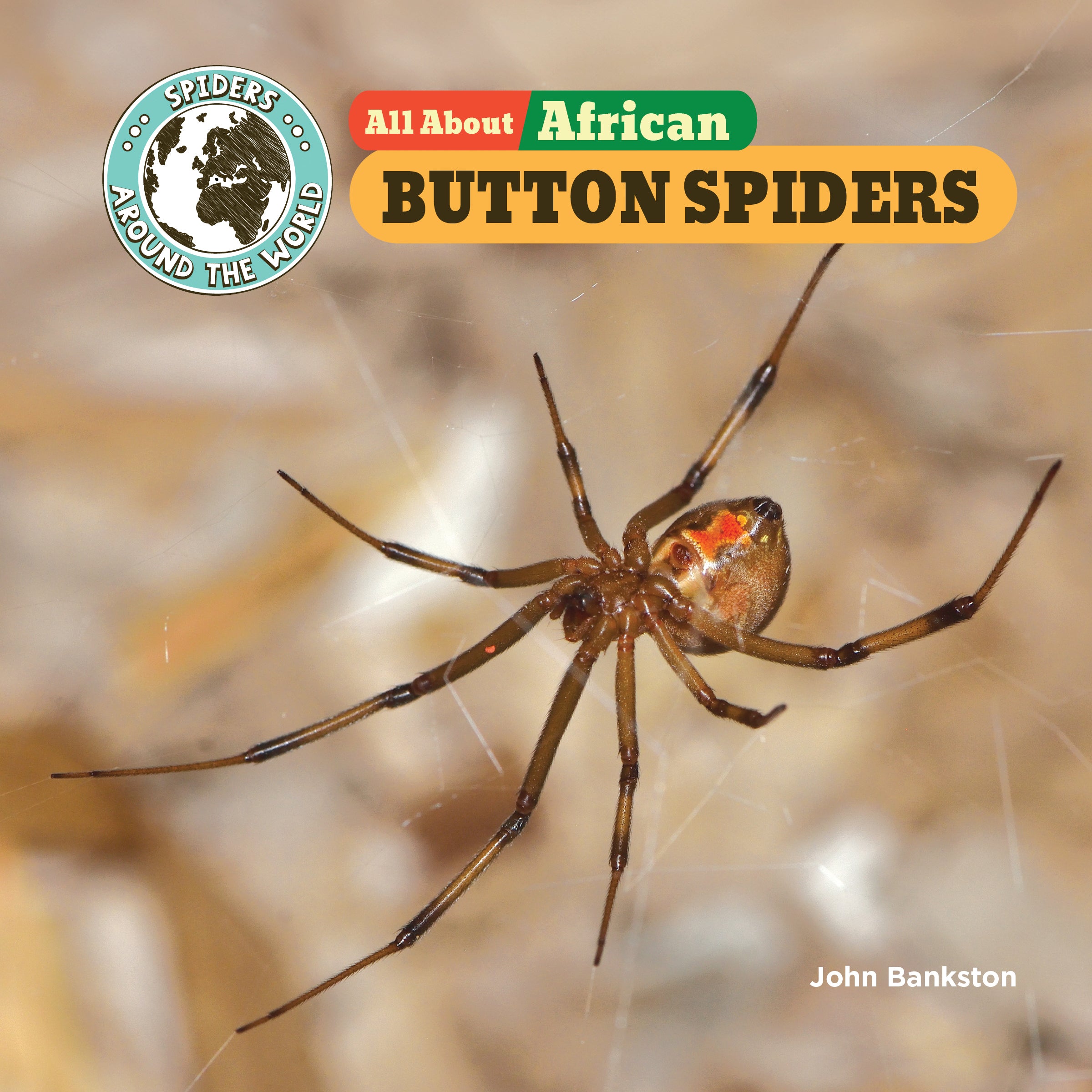The button spider keeps to itself. If it’s attacked, it plays dead. Yet ...