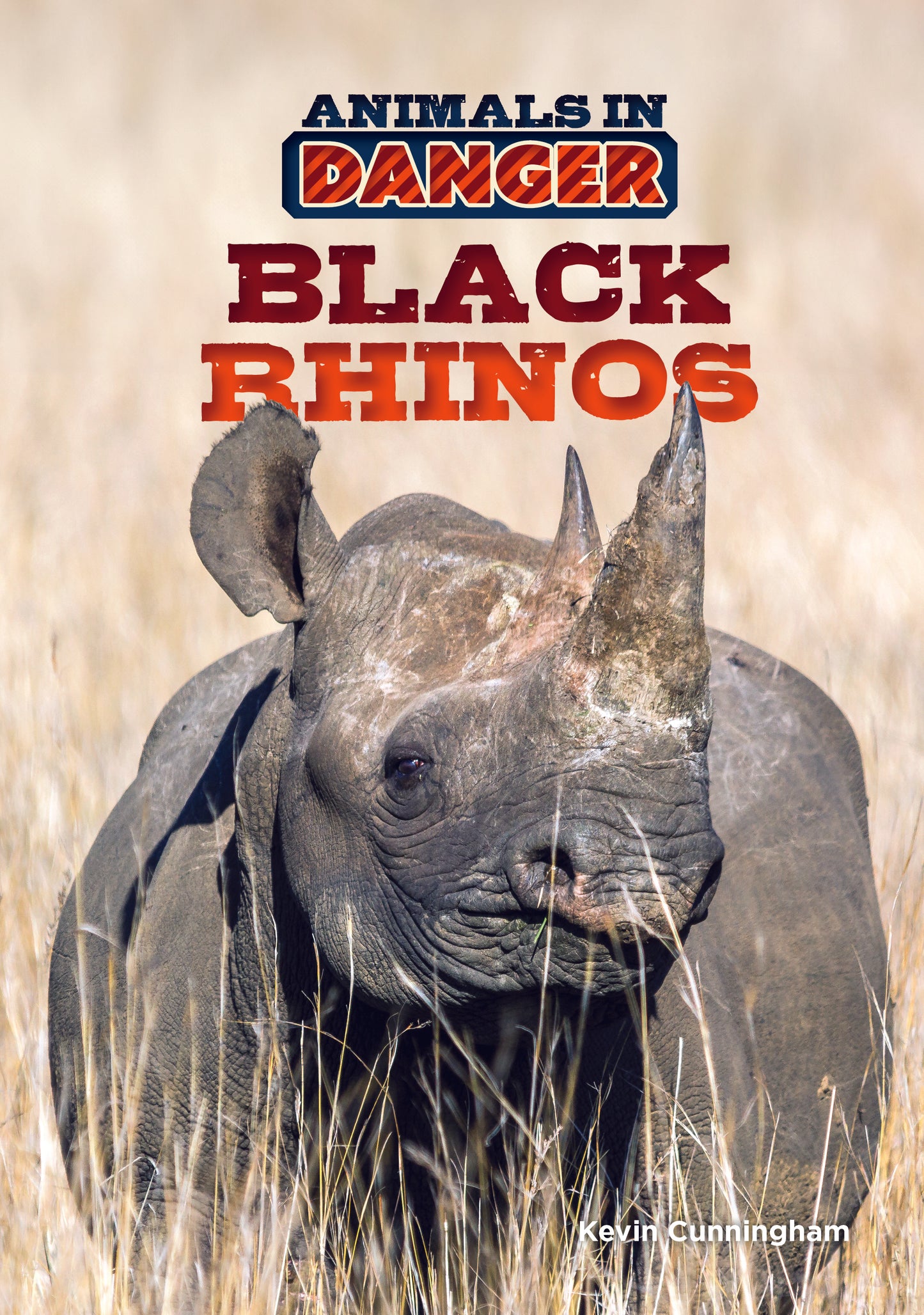 Black Rhinos