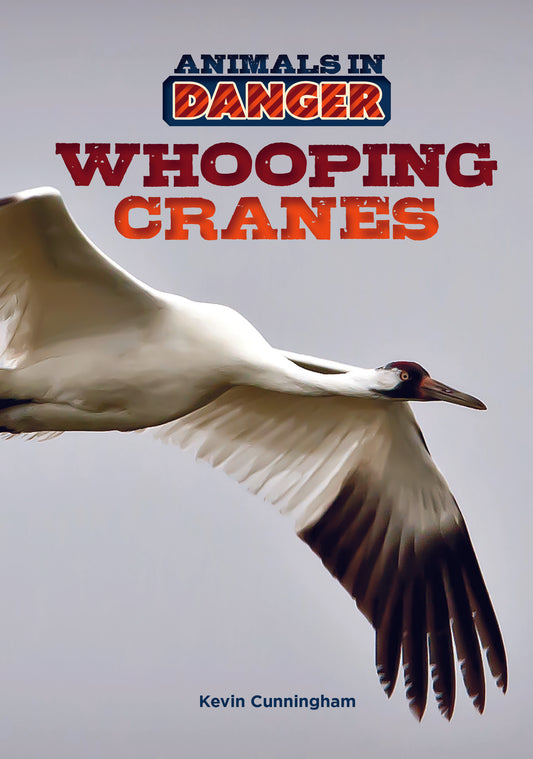 Whooping Cranes