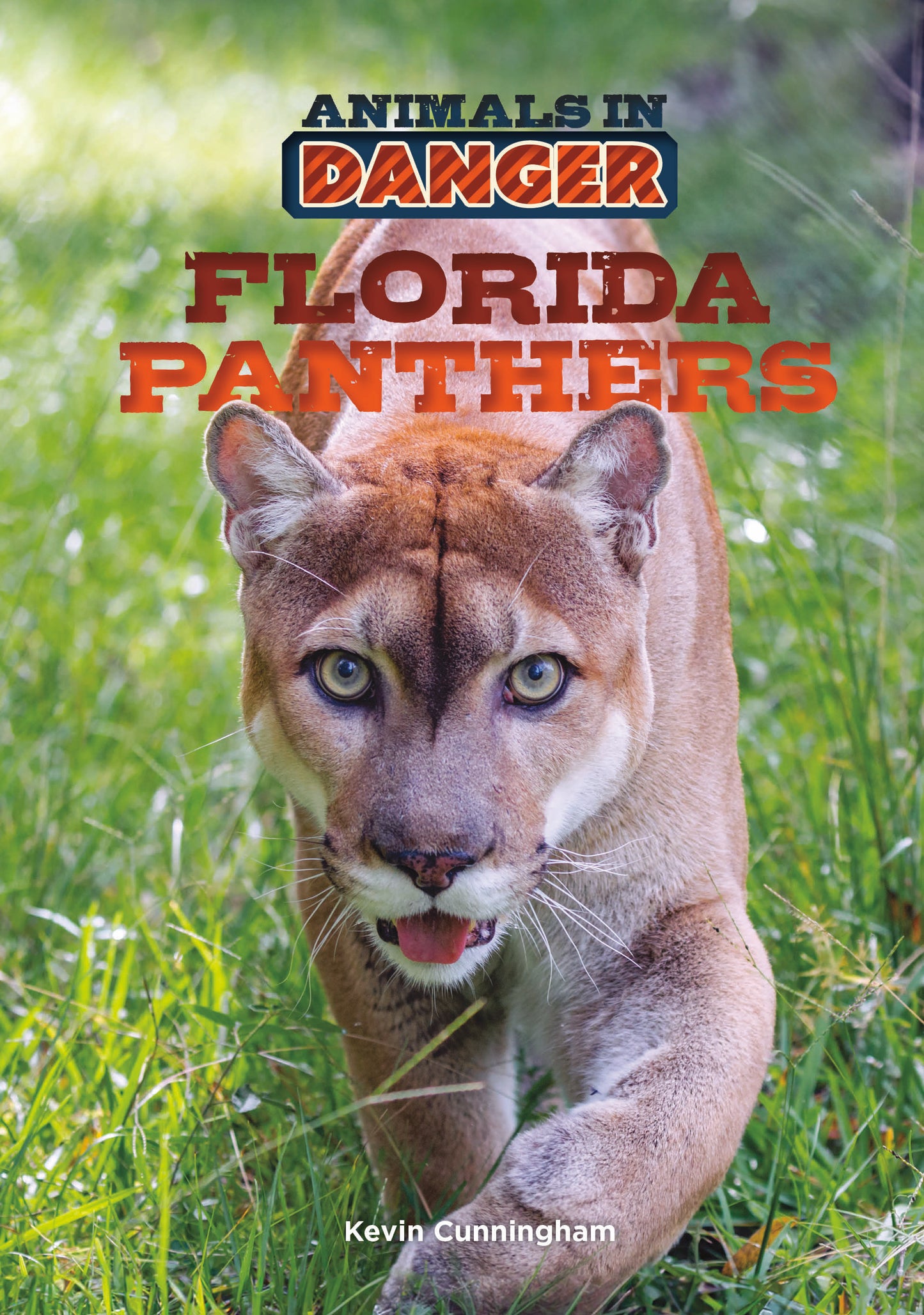 Florida Panthers