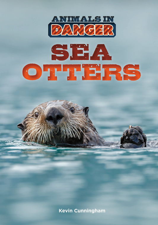 Sea Otters