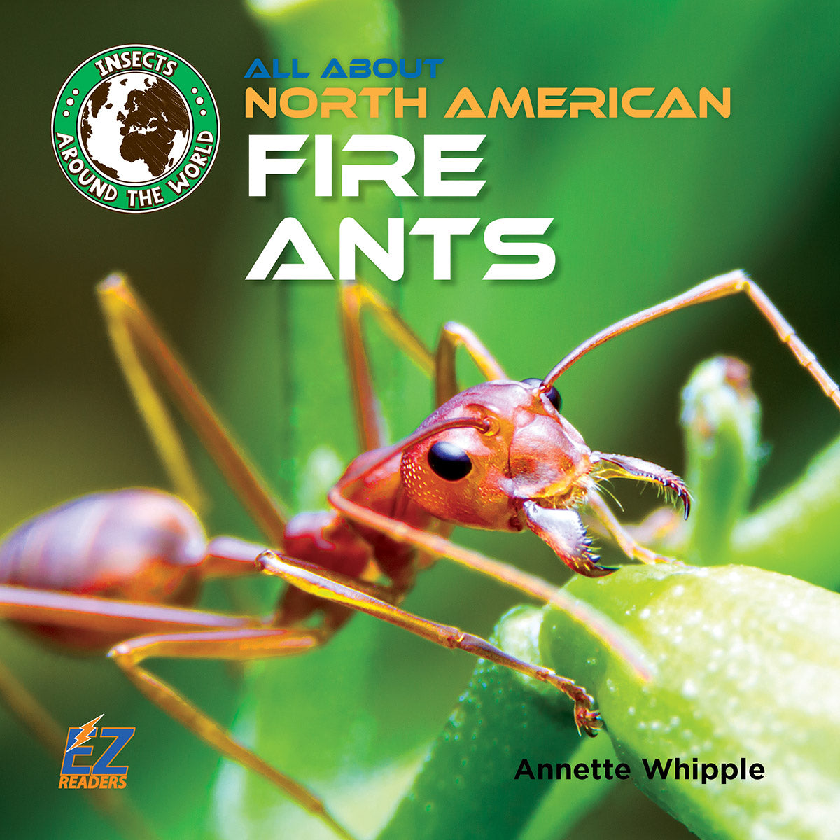 All About North American Fire Ants