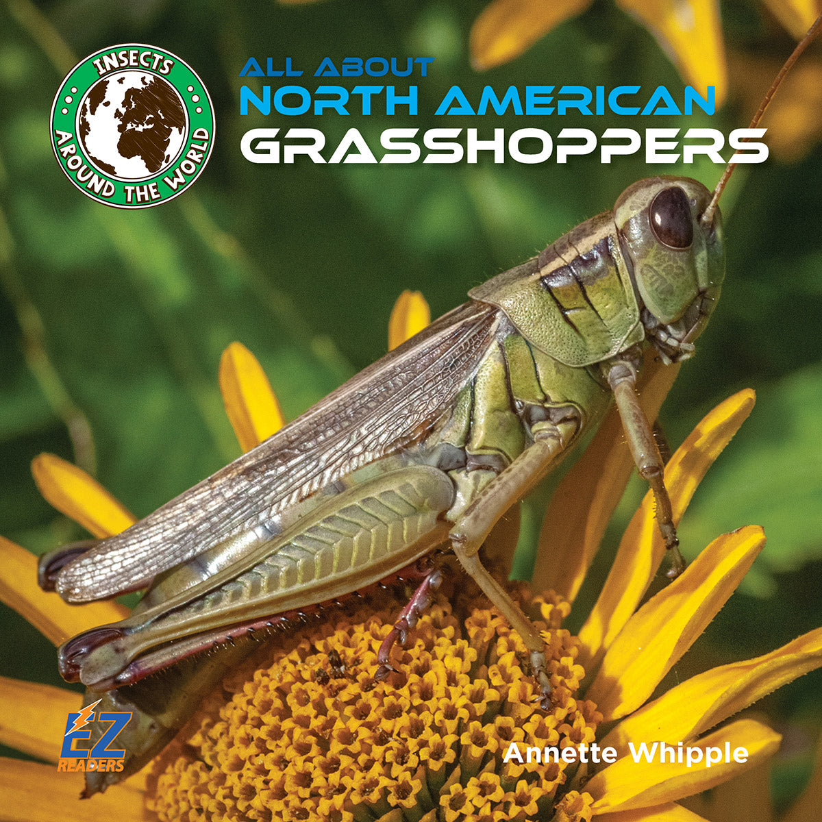 All About North American Grasshoppers