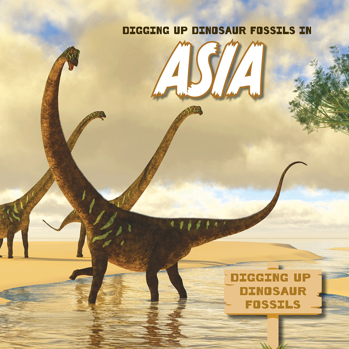 Digging Up Dinosaur Fossils in Asia