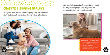 Labrador Retrievers: Clever Companions