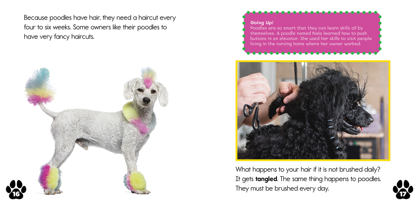 Poodles: Smart Sidekicks